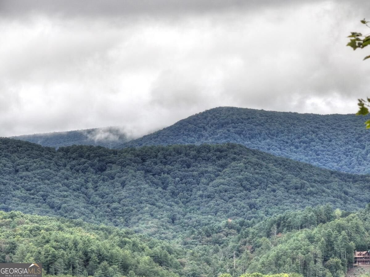 428 Tall Timber Mountain Road Cherry Log - Photo 14