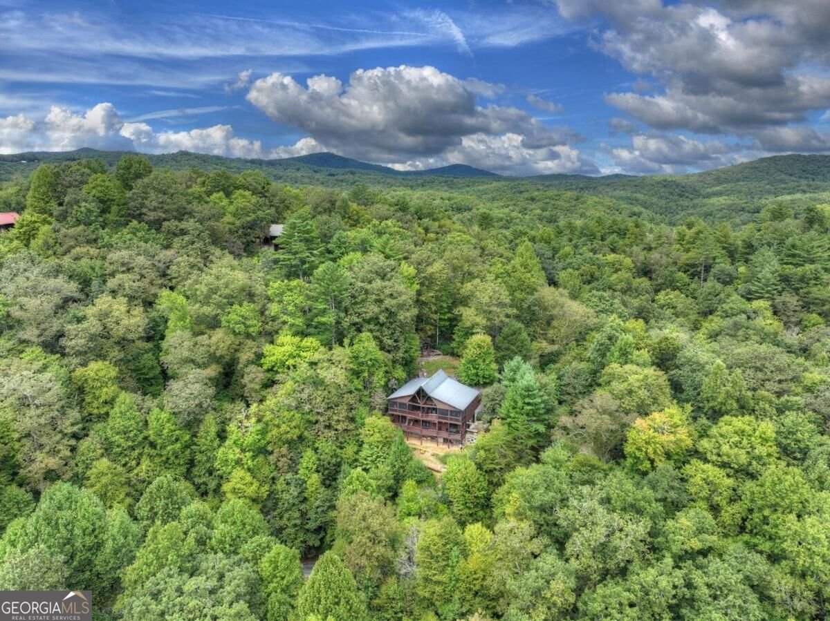 428 Tall Timber Mountain Road Cherry Log - Photo 19