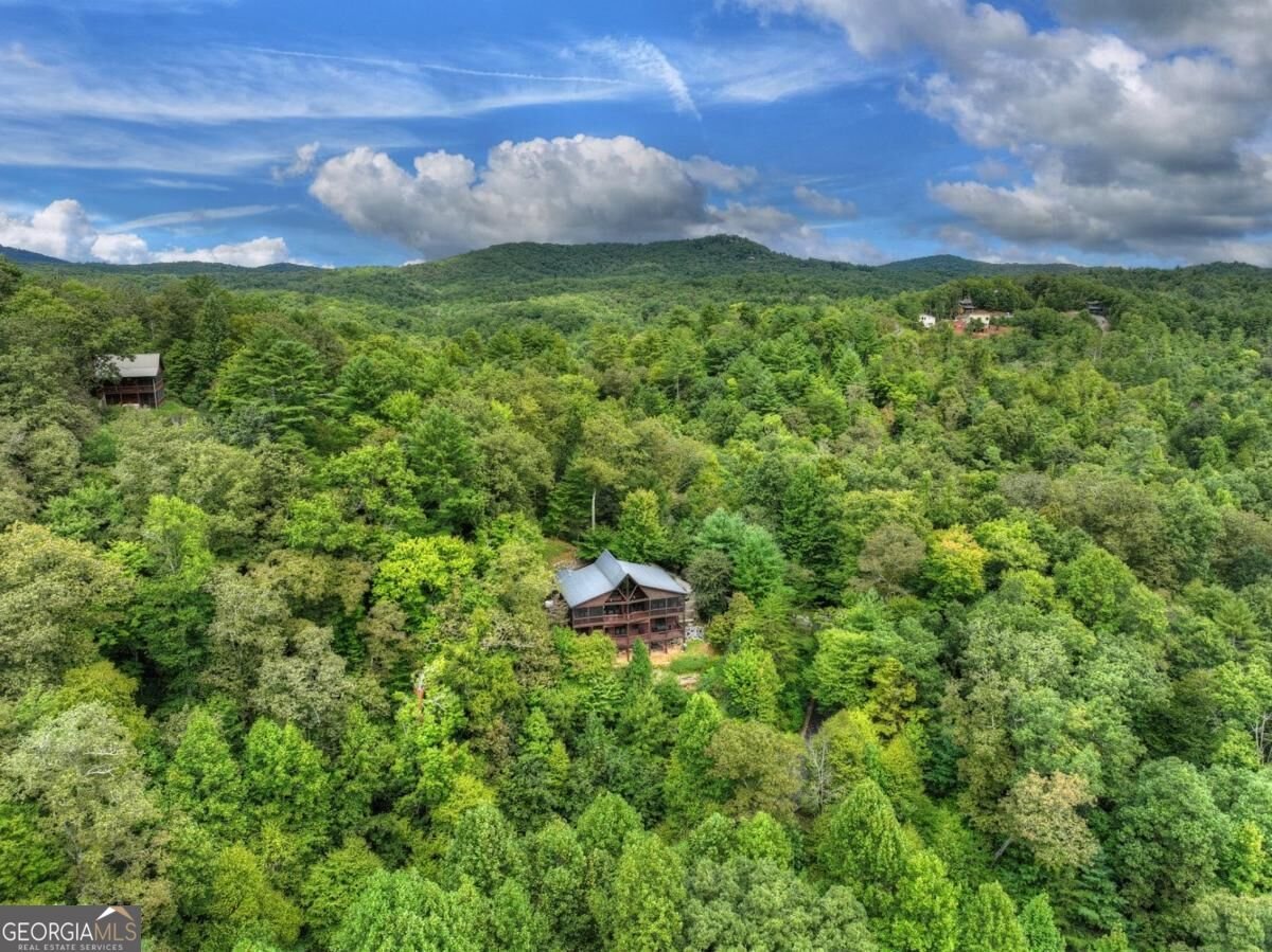 428 Tall Timber Mountain Road Cherry Log - Photo 28