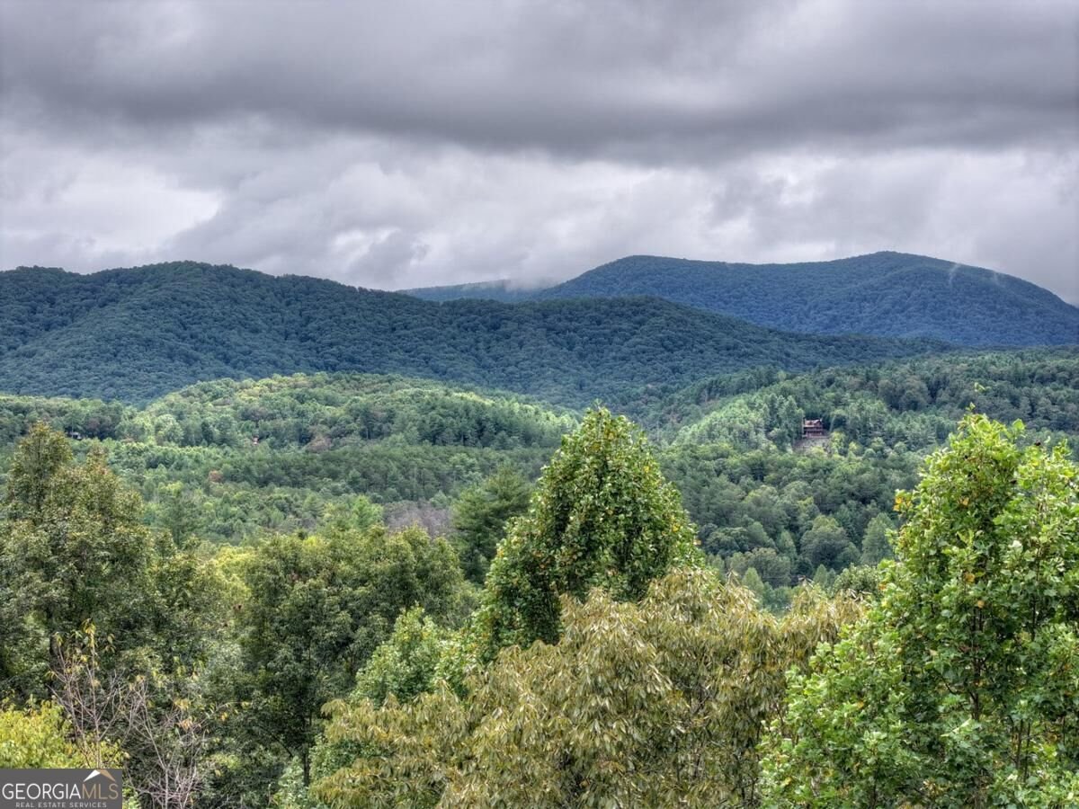 428 Tall Timber Mountain Road Cherry Log - Photo 30