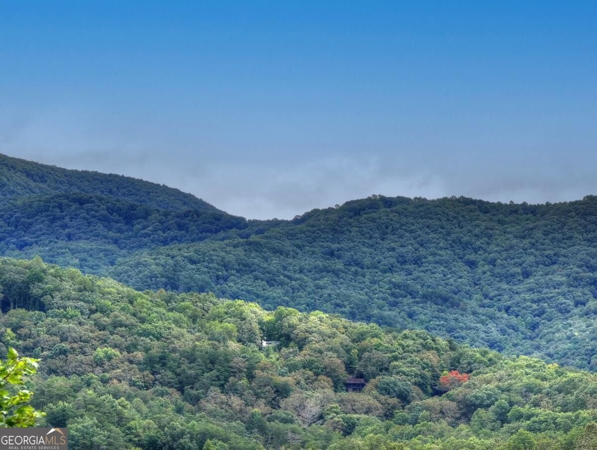 428 Tall Timber Mountain Road Cherry Log - Photo 41