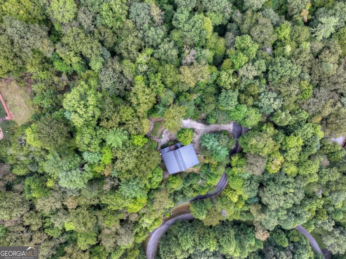 428 Tall Timber Mountain Road Cherry Log - Photo 48