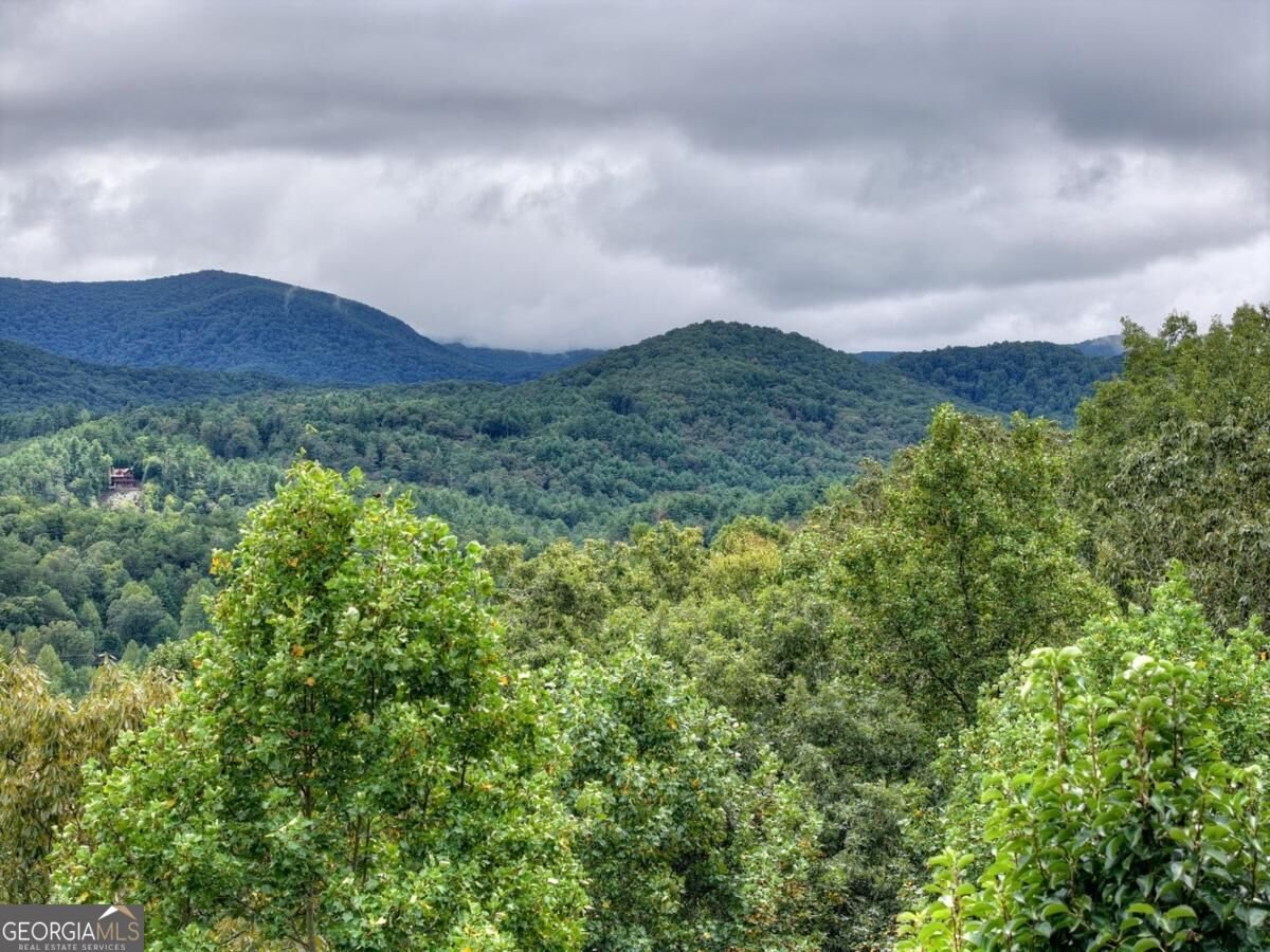 428 Tall Timber Mountain Road Cherry Log - Photo 52