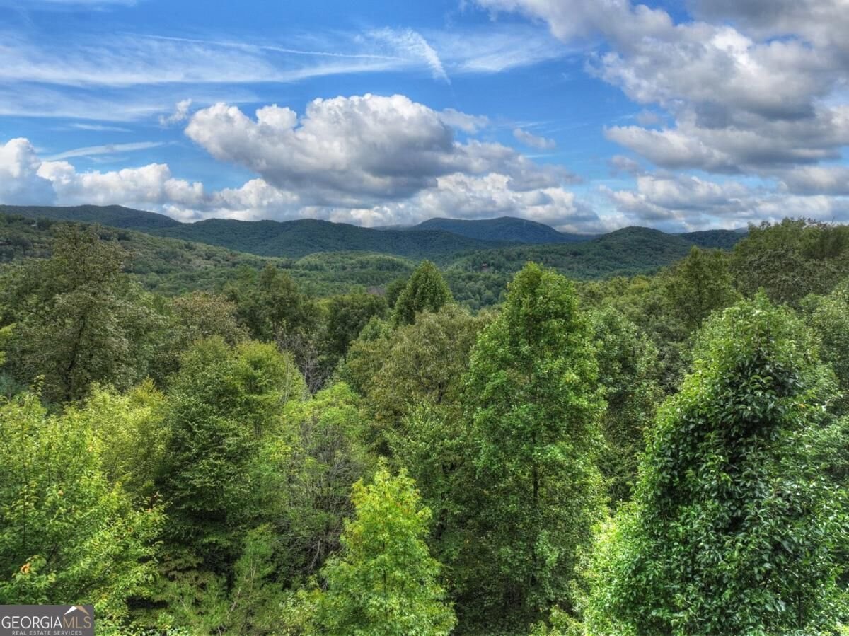 428 Tall Timber Mountain Road Cherry Log - Photo 55