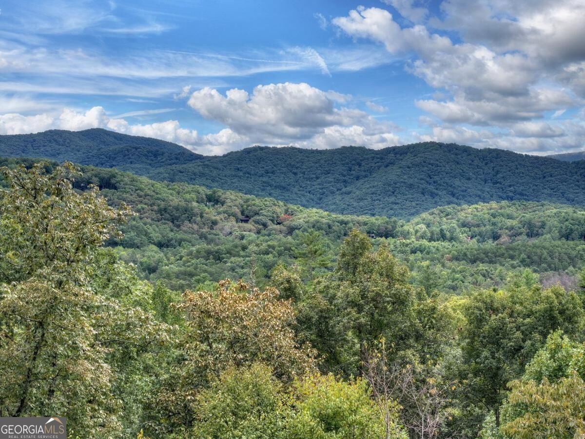 428 Tall Timber Mountain Road Cherry Log - Photo 64