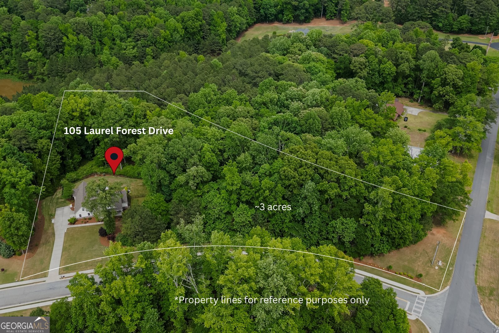 105 Laurel Forest Drive Tyrone - Photo 66