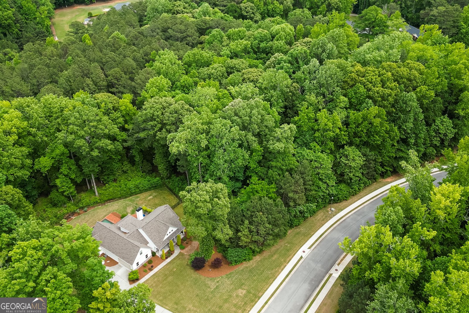 105 Laurel Forest Drive Tyrone - Photo 70