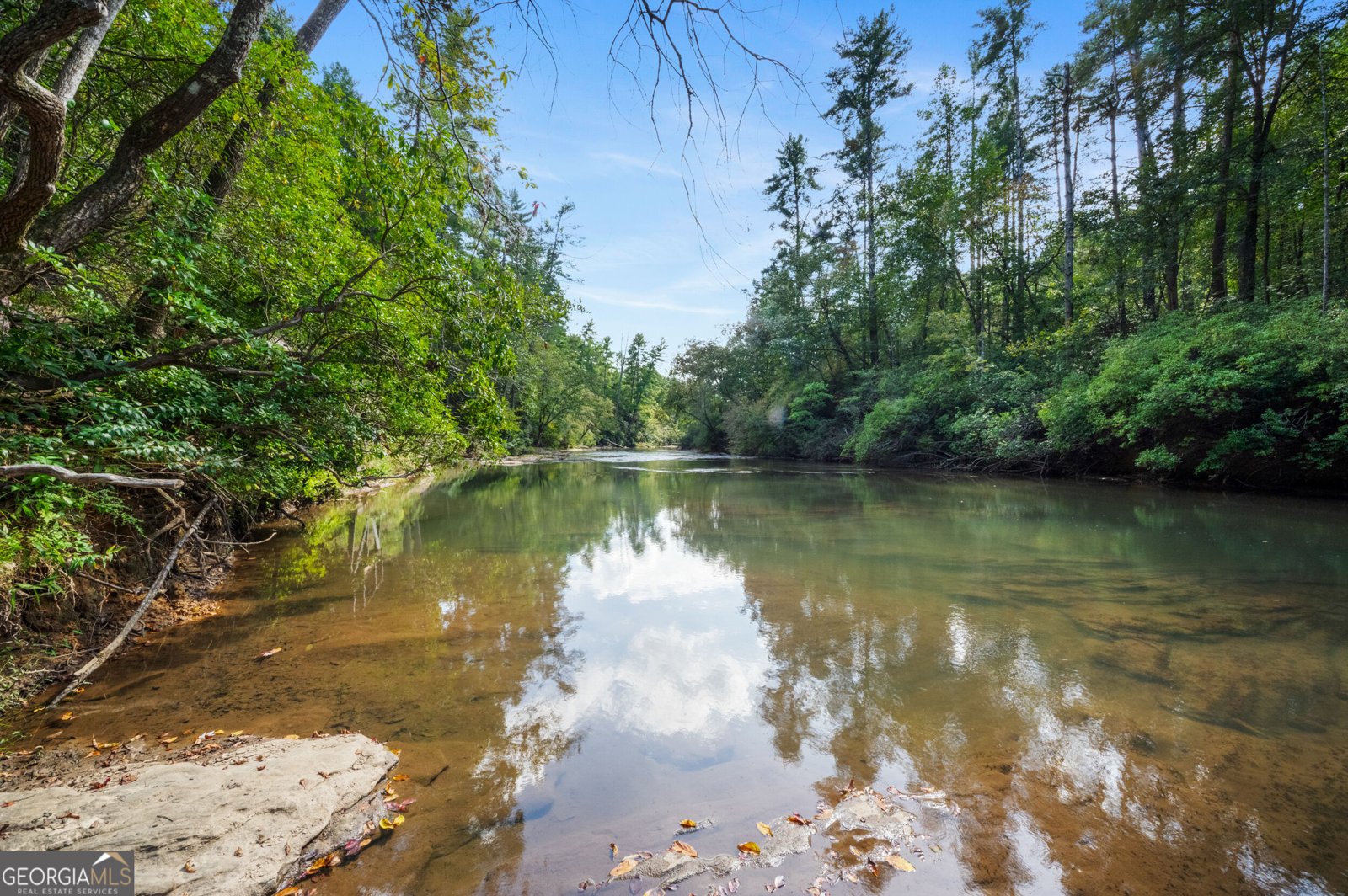 505 River Ridge Road Clarkesville - Photo 61