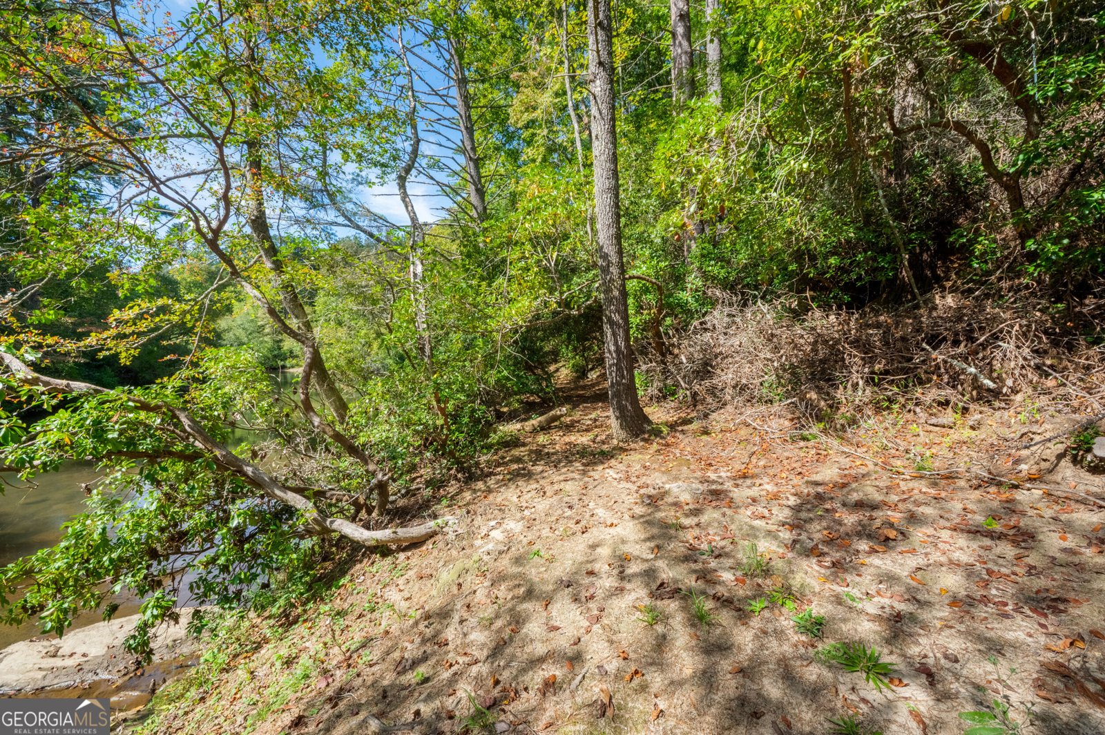 505 River Ridge Road Clarkesville - Photo 62