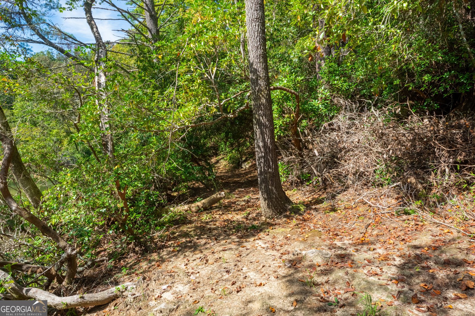 505 River Ridge Road Clarkesville - Photo 63