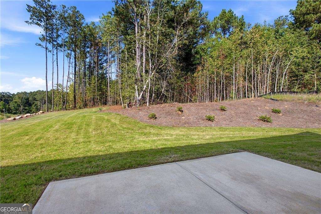 201 Tempo Circle Ellenwood - Photo 24