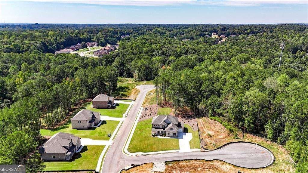 201 Tempo Circle Ellenwood - Photo 51