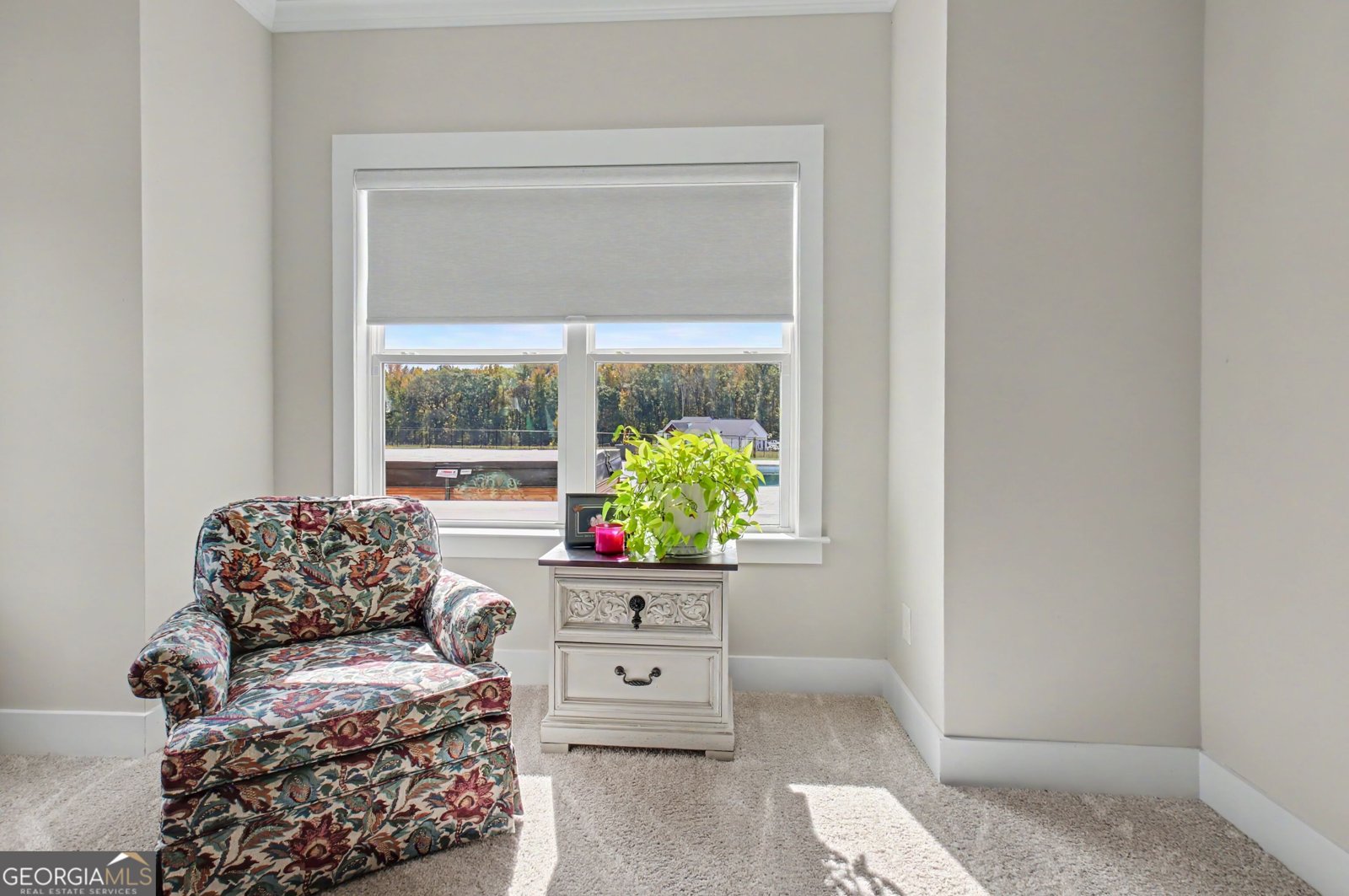 1072 Gray Girls Road Senoia - Photo 115