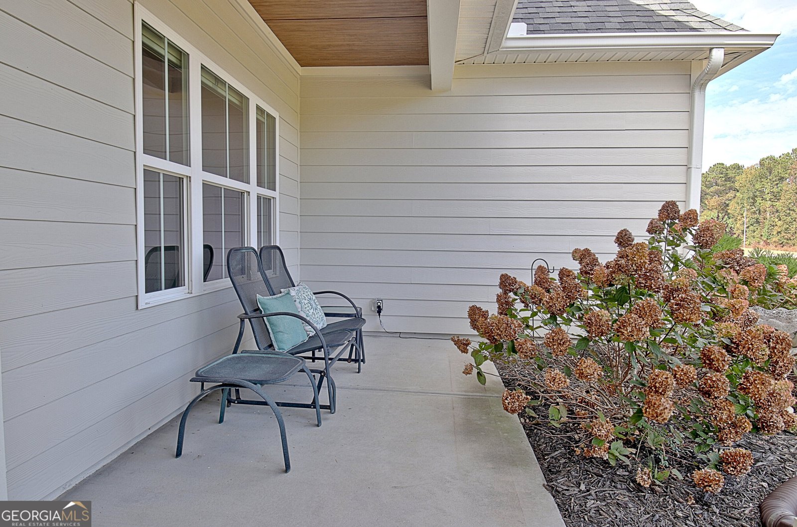 1072 Gray Girls Road Senoia - Photo 69
