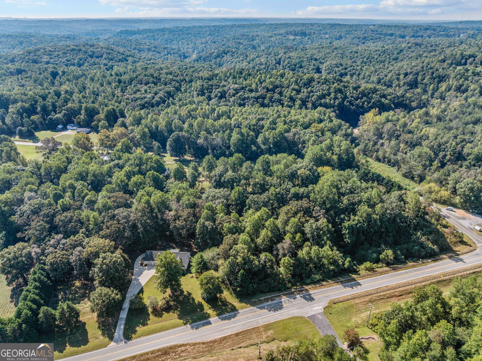 296 Highway 115 Demorest - Photo 10