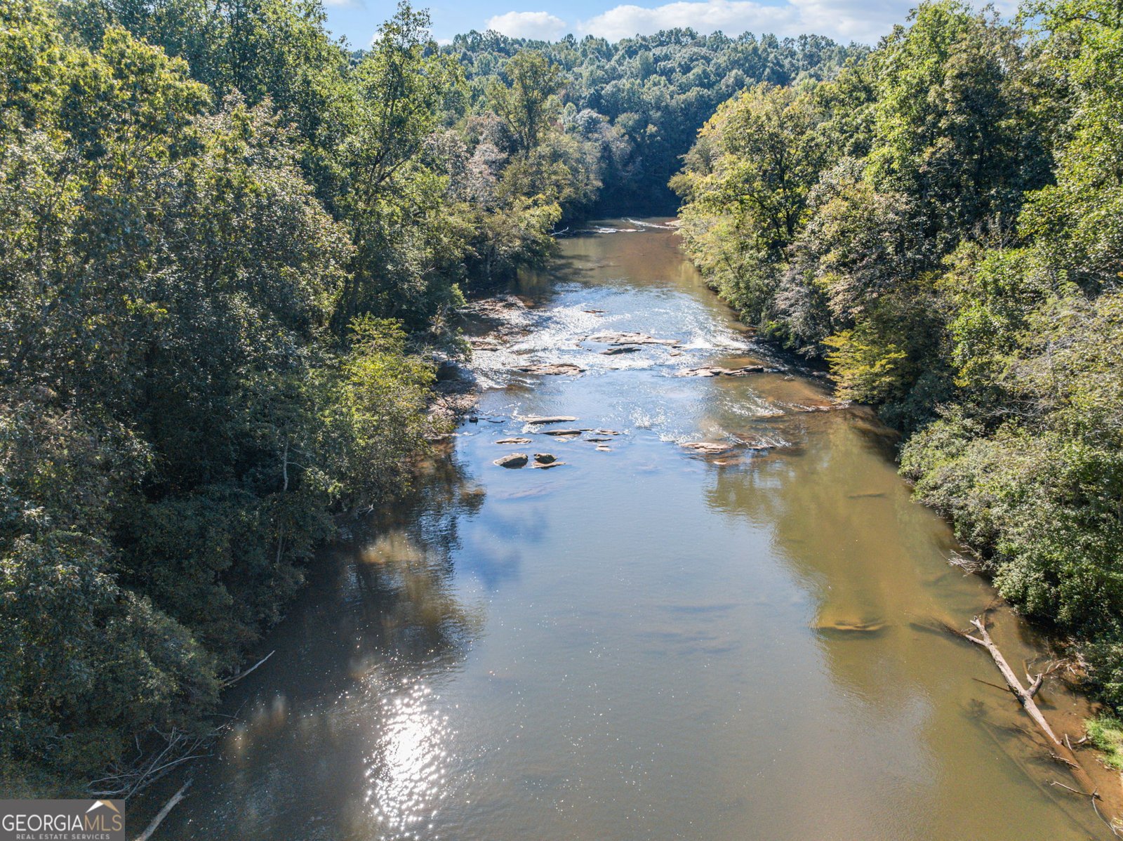 296 Highway 115 Demorest - Photo 13