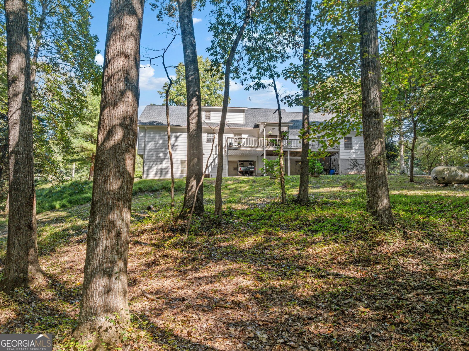 296 Highway 115 Demorest - Photo 53