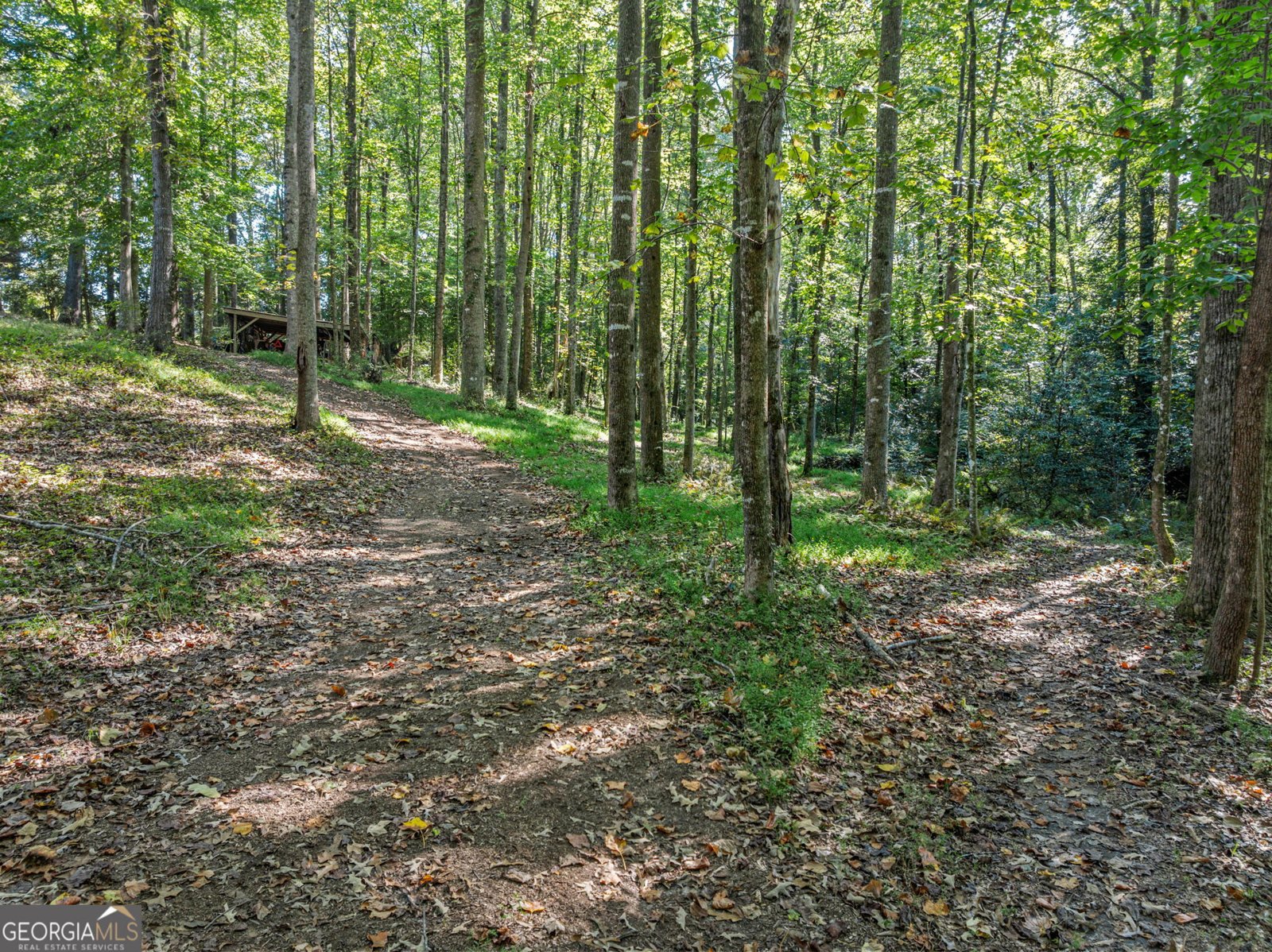 296 Highway 115 Demorest - Photo 54