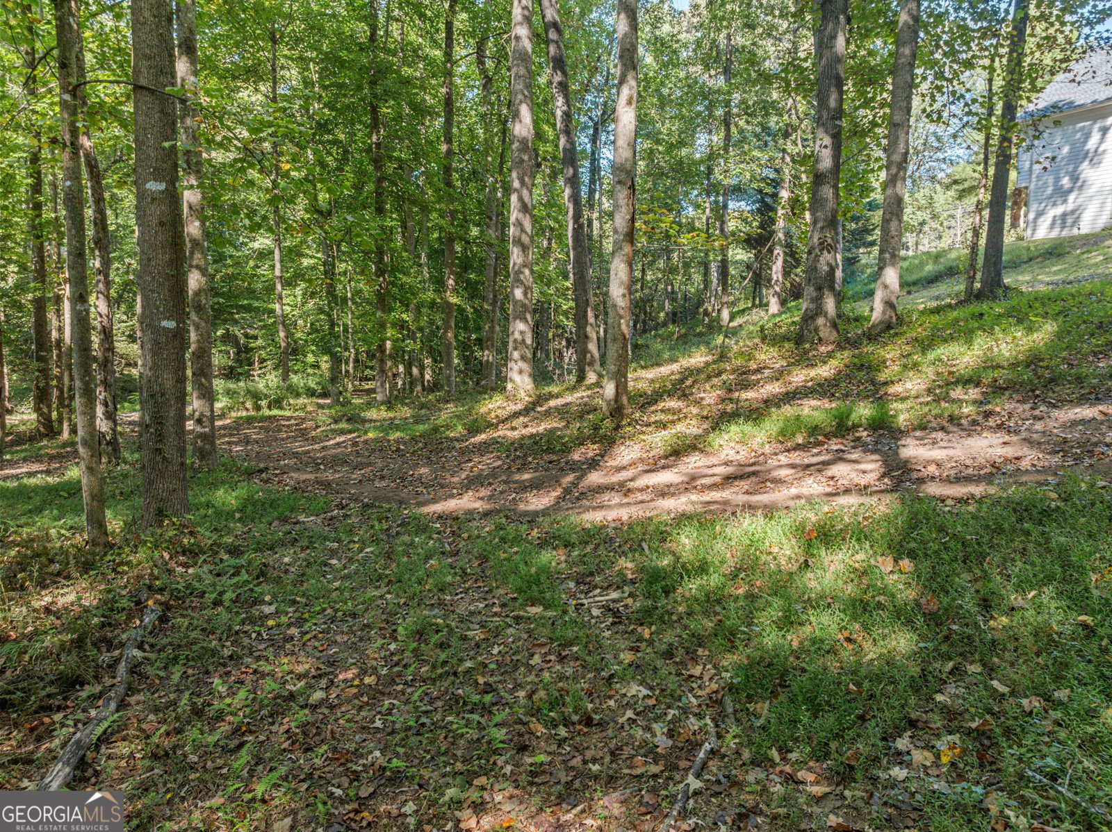 296 Highway 115 Demorest - Photo 55