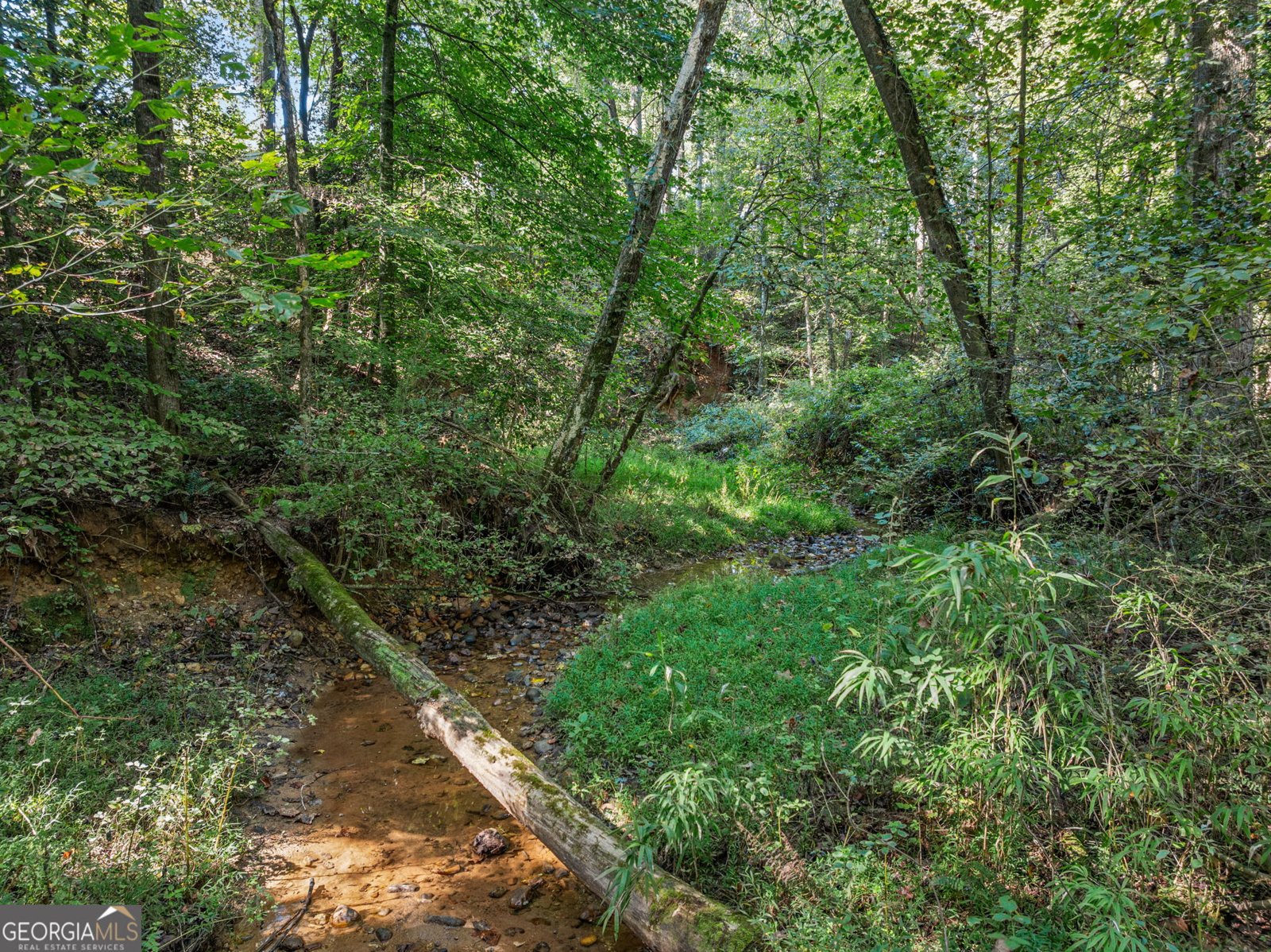 296 Highway 115 Demorest - Photo 56
