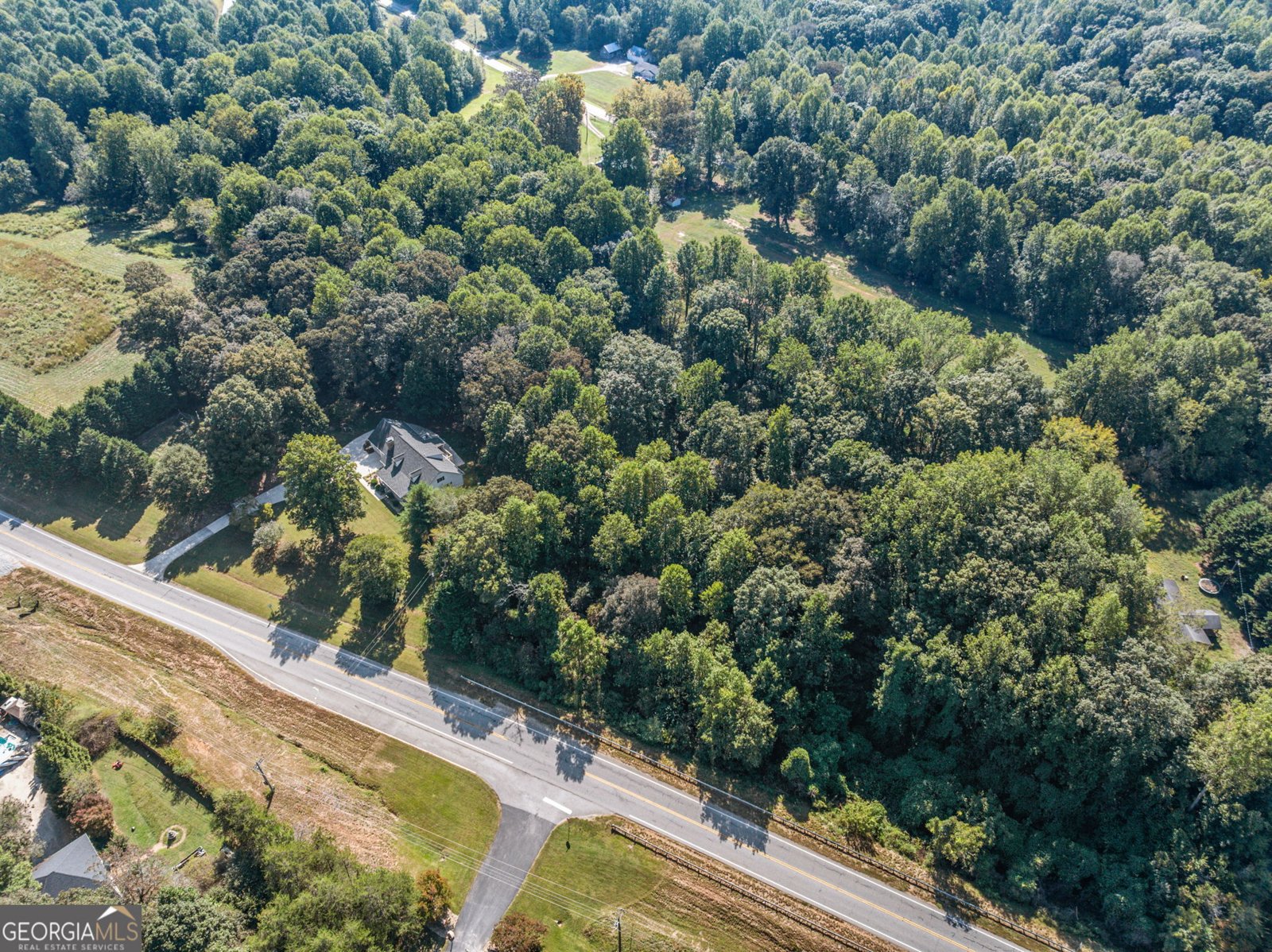 296 Highway 115 Demorest - Photo 59