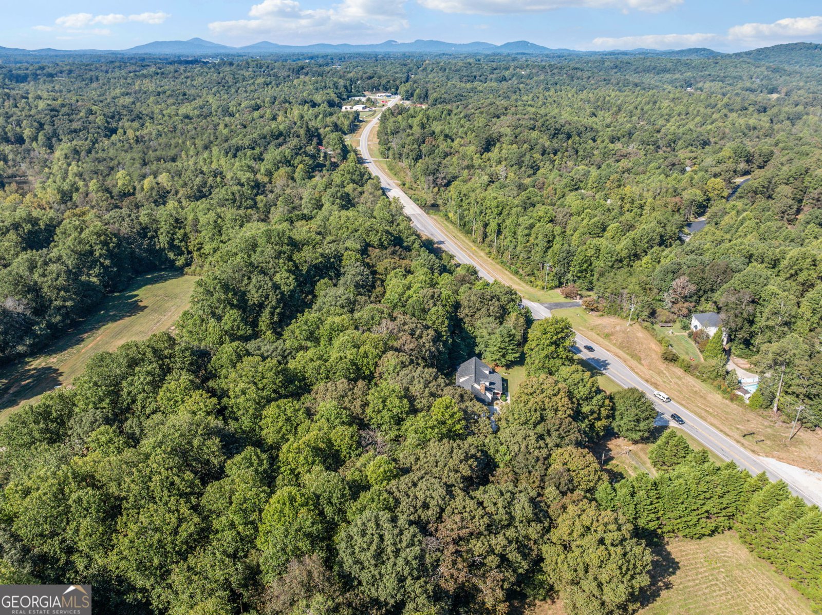 296 Highway 115 Demorest - Photo 60