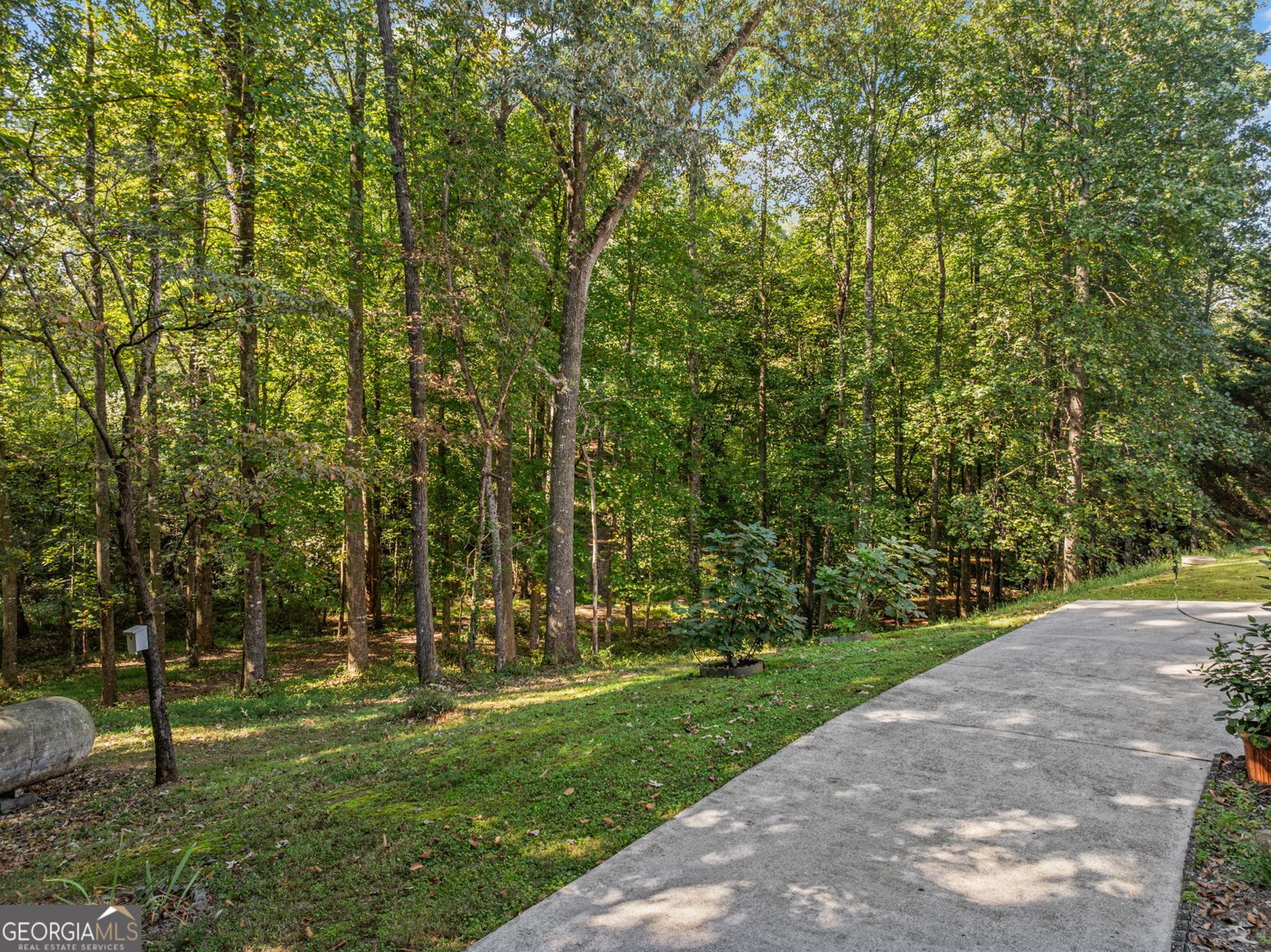 296 Highway 115 Demorest - Photo 8