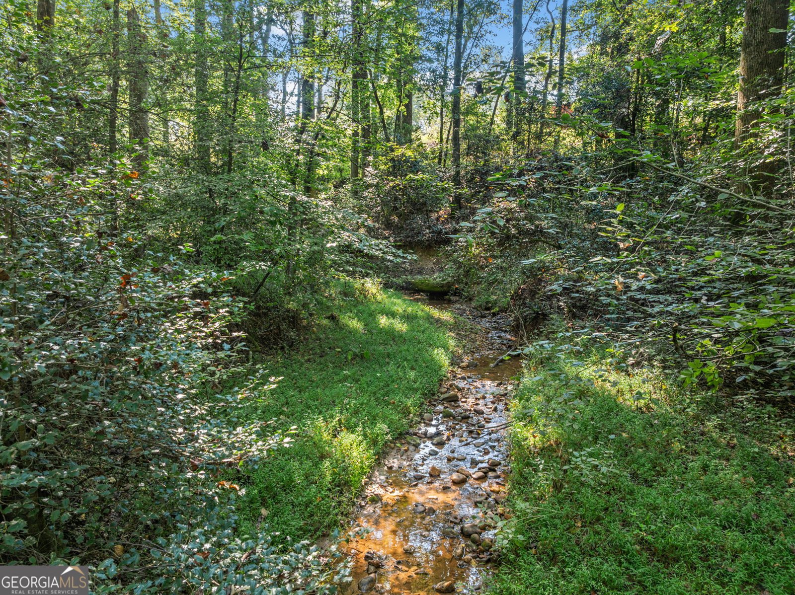 296 Highway 115 Demorest - Photo 9