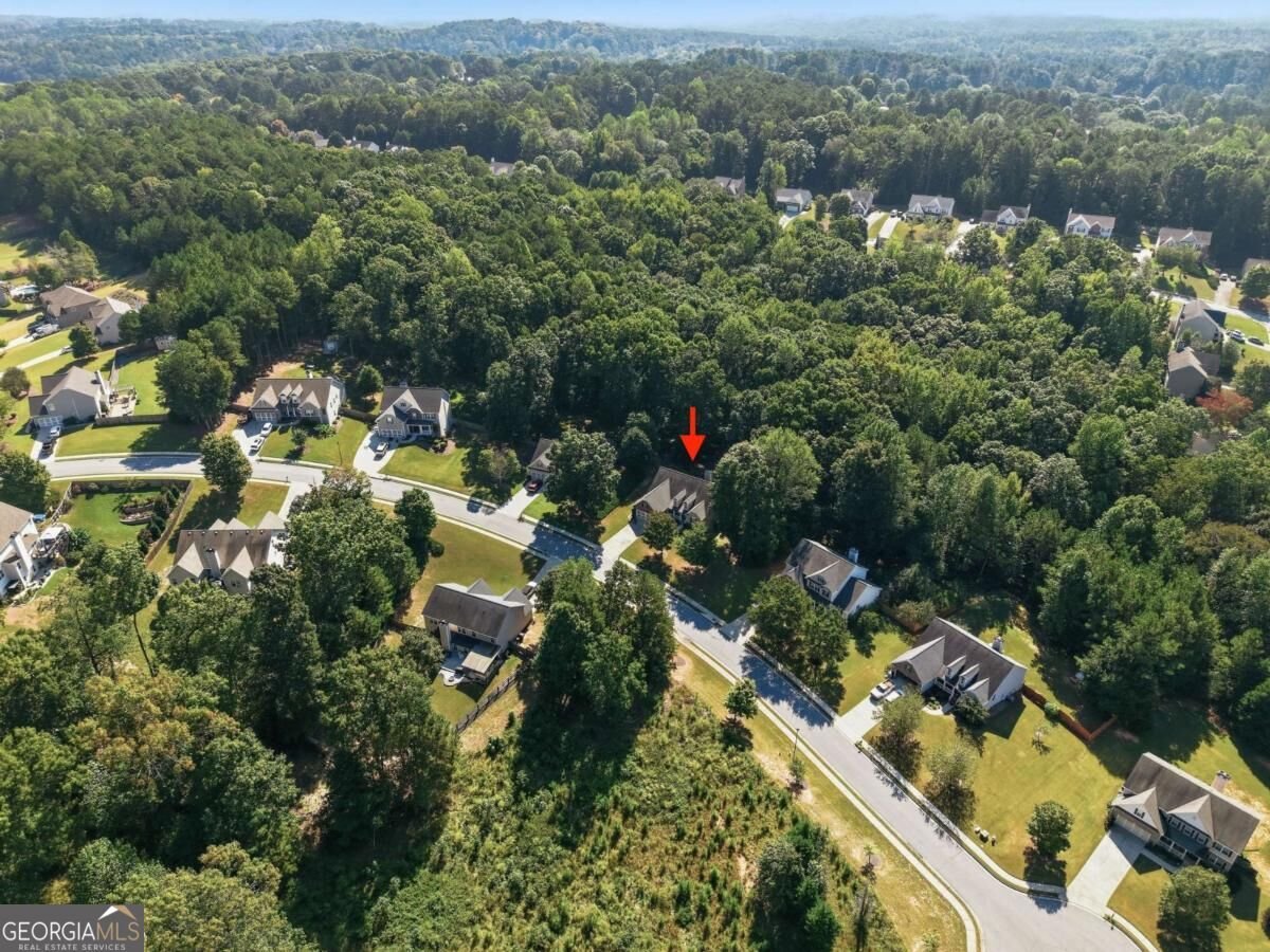 2516 Deep Wood Court Loganville - Photo 55