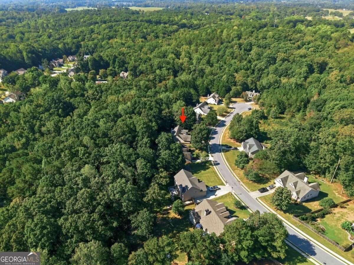 2516 Deep Wood Court Loganville - Photo 56