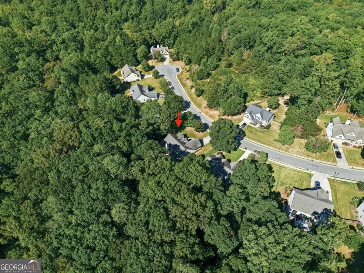 2516 Deep Wood Court Loganville - Photo 57