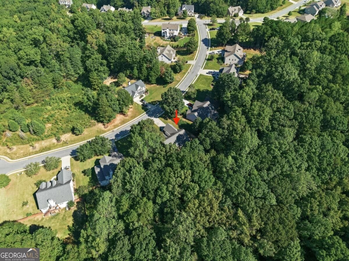 2516 Deep Wood Court Loganville - Photo 58
