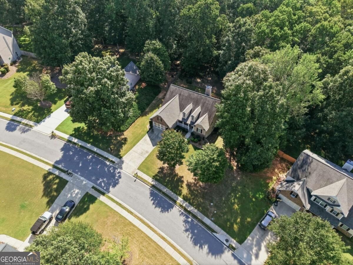 2516 Deep Wood Court Loganville - Photo 59