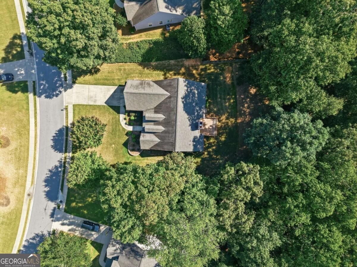 2516 Deep Wood Court Loganville - Photo 60