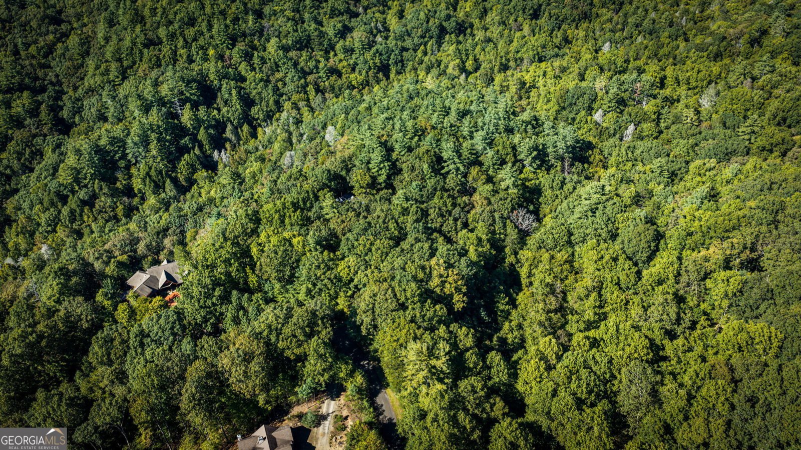 241 Wilderness Way Ellijay - Photo 107