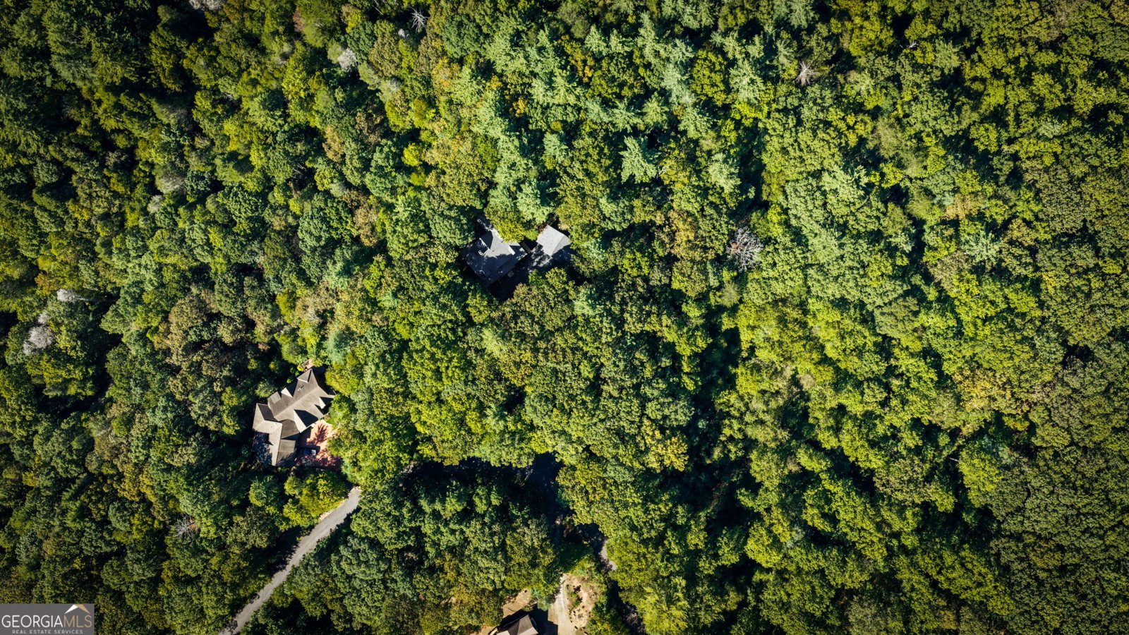 241 Wilderness Way Ellijay - Photo 108