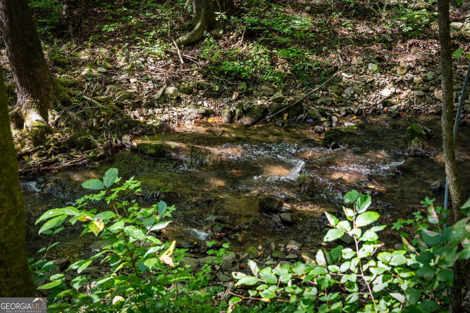 241 Wilderness Way Ellijay - Photo 110