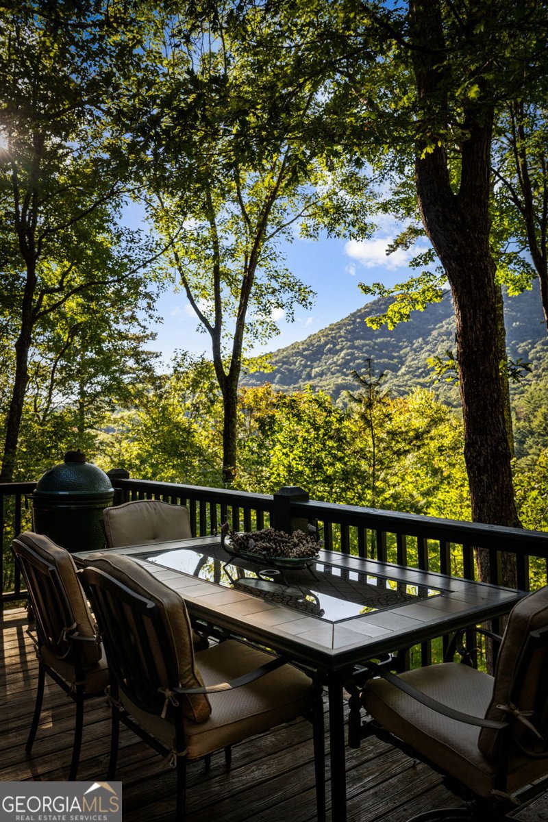 241 Wilderness Way Ellijay - Photo 44