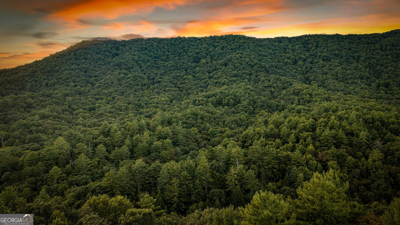 241 Wilderness Way Ellijay - Photo 8