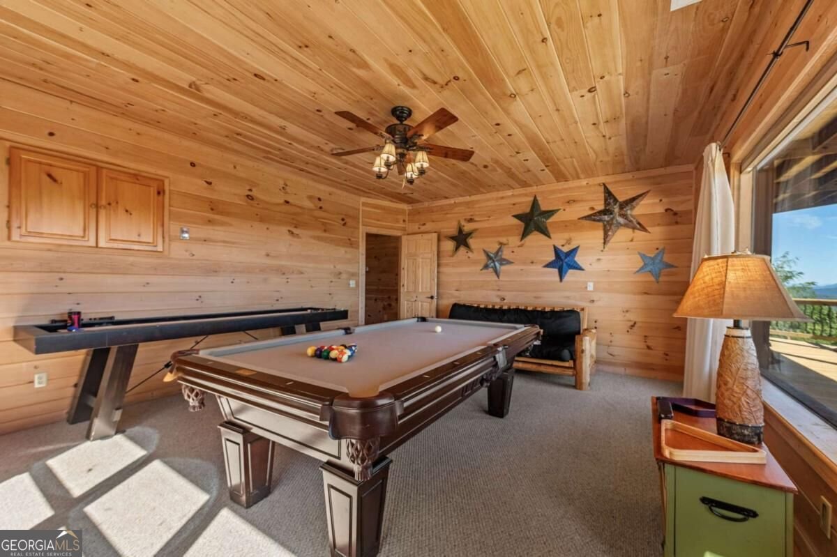 275 Rising Star Lane Mineral Bluff - Photo 54