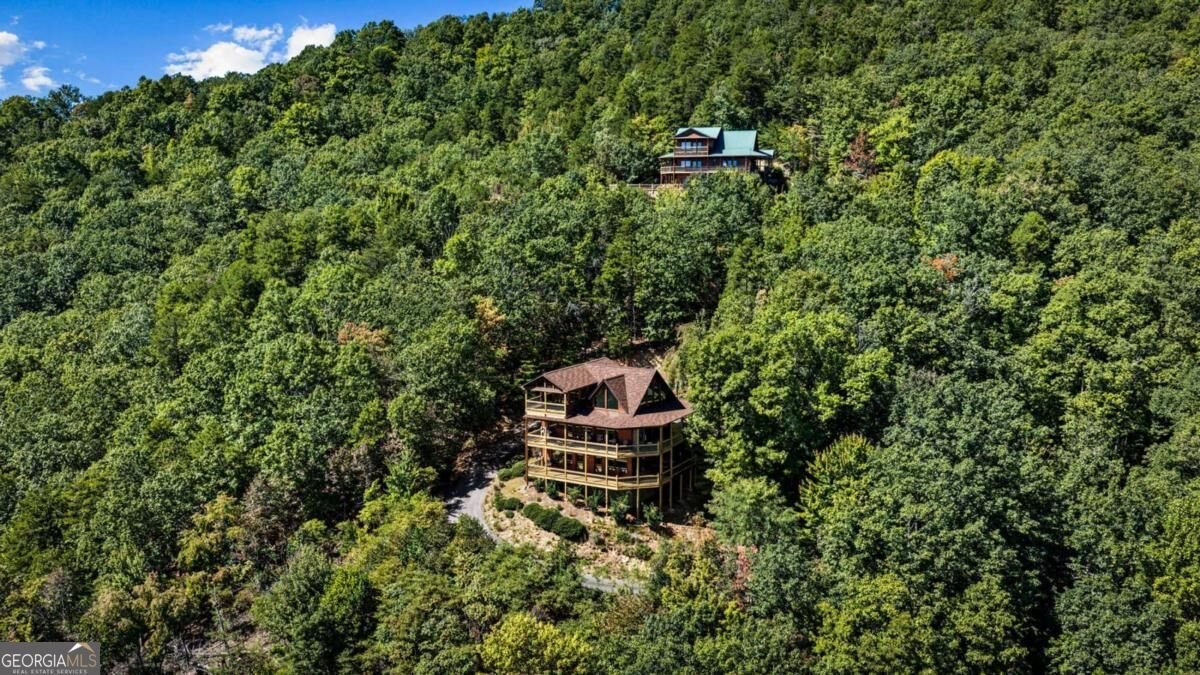 275 Rising Star Lane Mineral Bluff - Photo 6