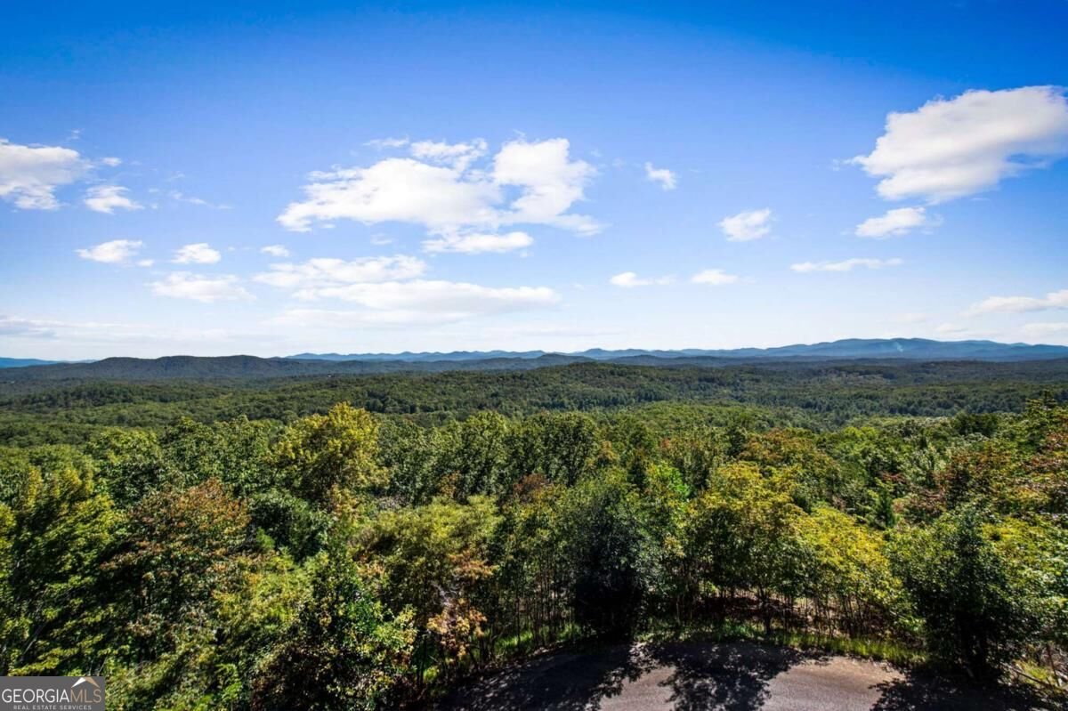 275 Rising Star Lane Mineral Bluff - Photo 89