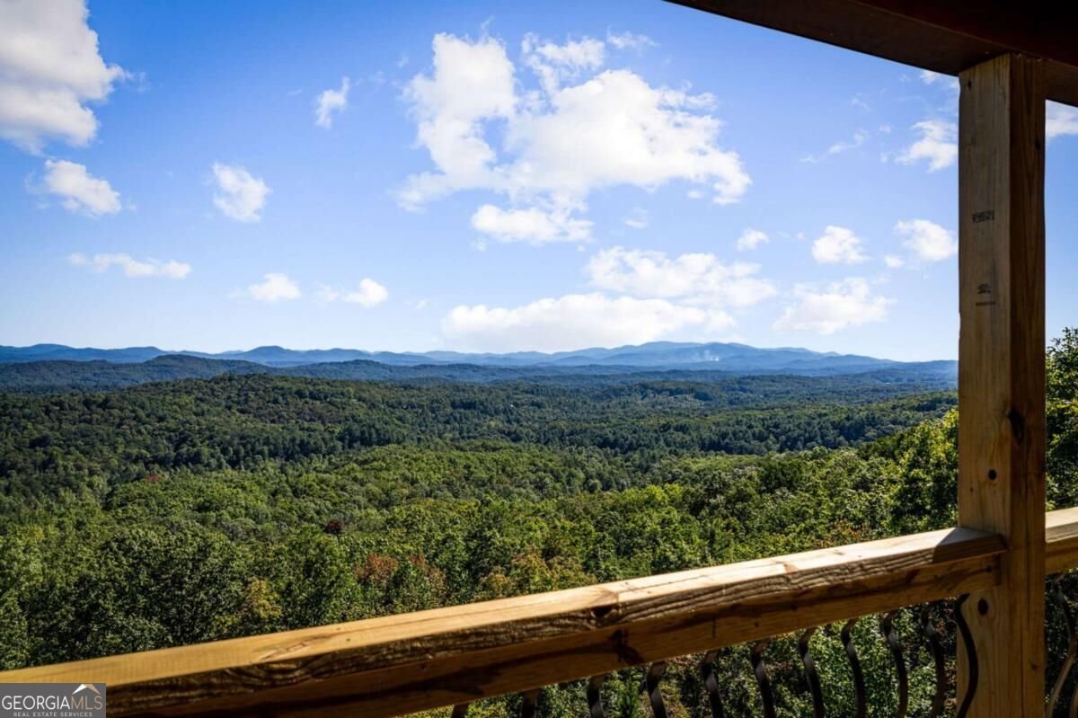 275 Rising Star Lane Mineral Bluff - Photo 96