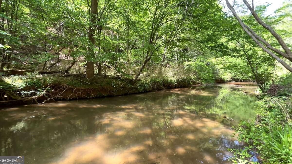 25 Mountain Creek Trail Fairmount - Photo 60