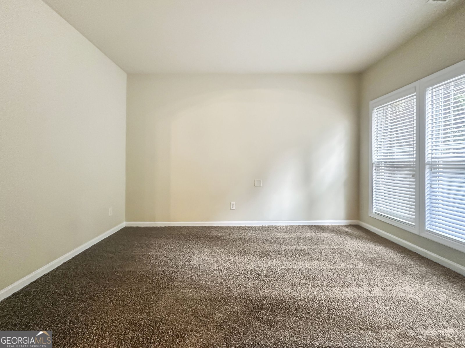 1091 Forest Creek Drive Canton - Photo 4