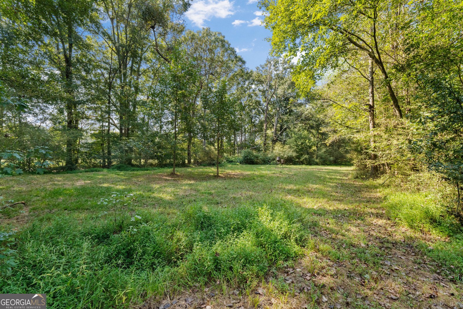 2220 Bethesda Church Road Carrollton - Photo 86