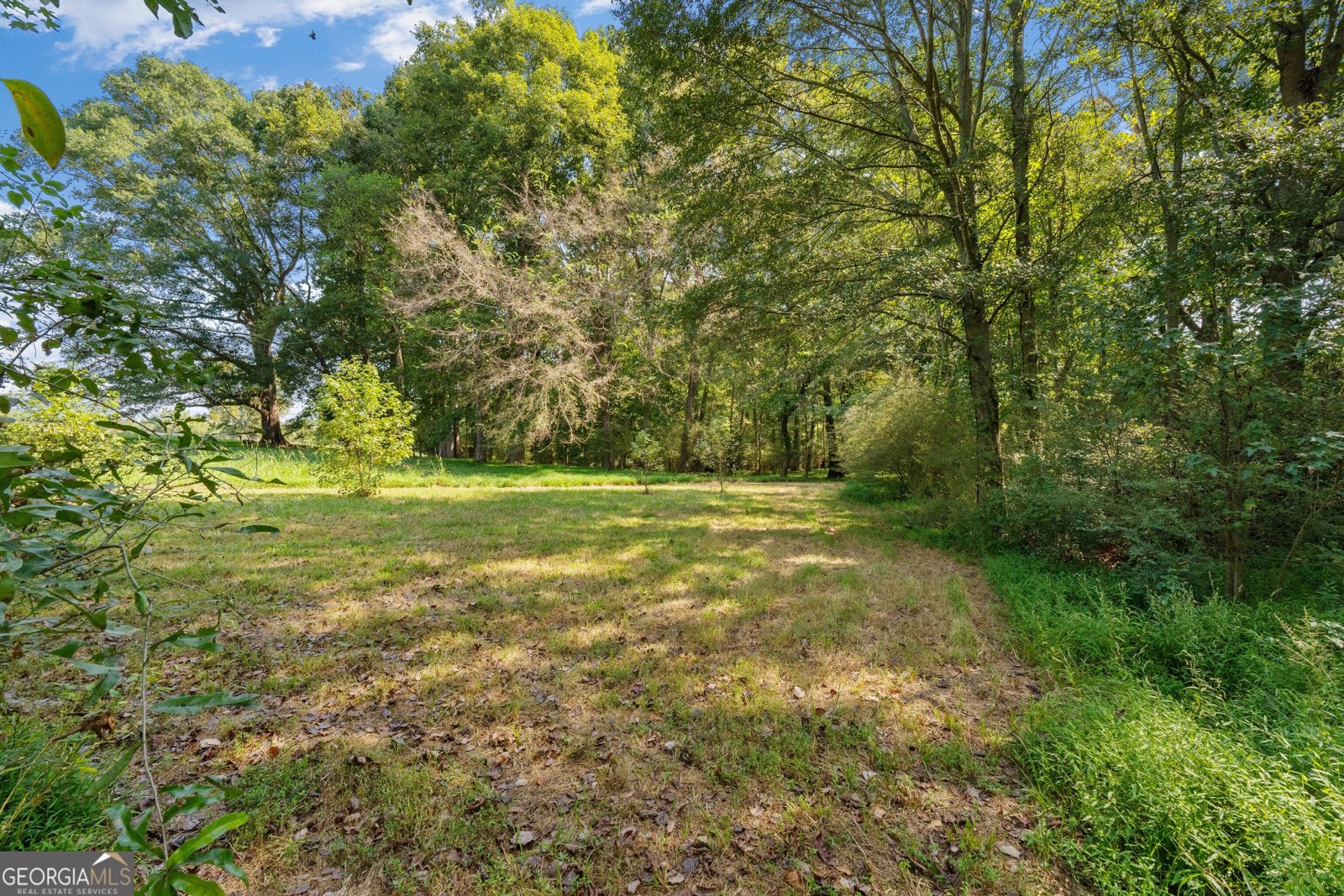 2220 Bethesda Church Road Carrollton - Photo 88