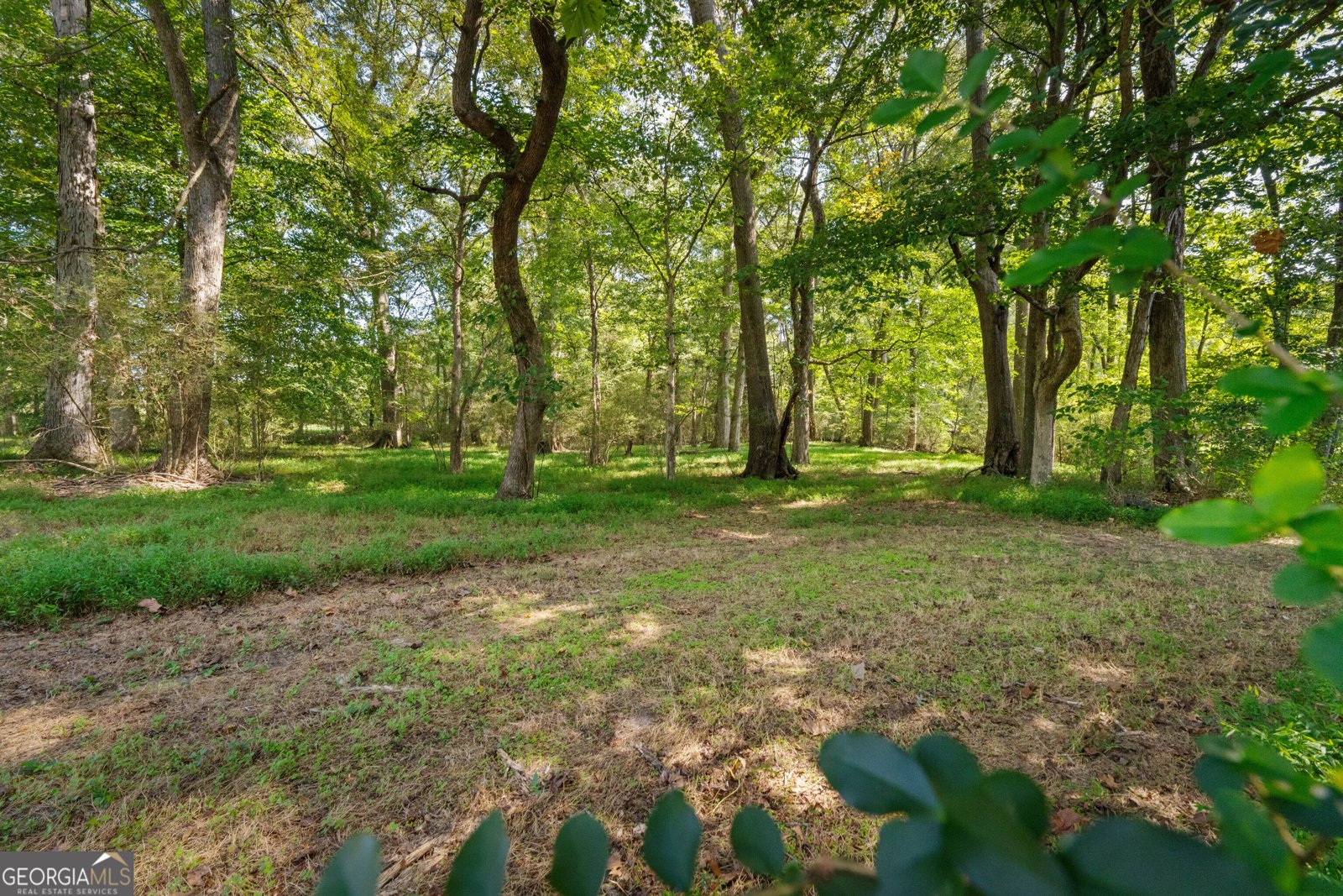 2220 Bethesda Church Road Carrollton - Photo 91