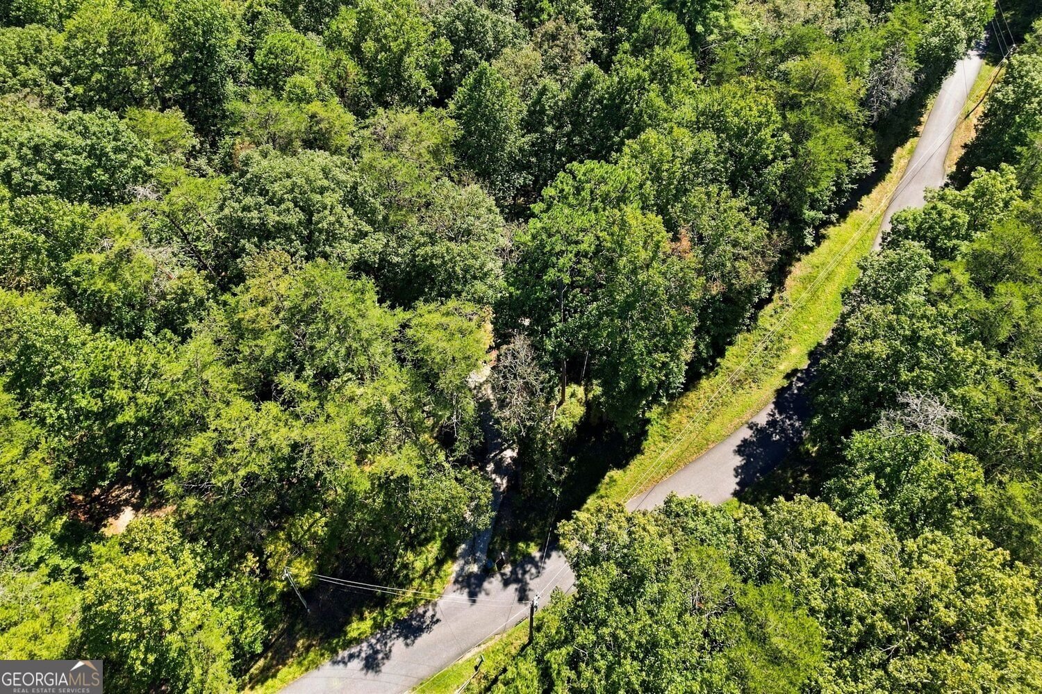 299 Yellow Bluff Road Dahlonega - Photo 36