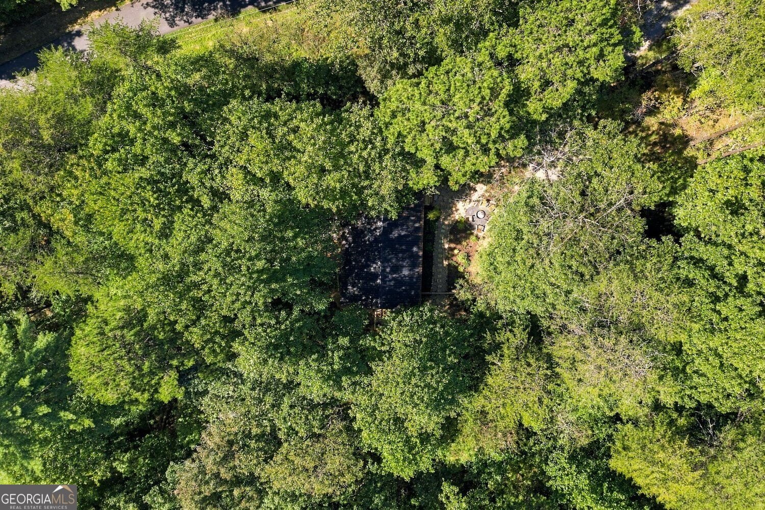 299 Yellow Bluff Road Dahlonega - Photo 39